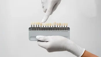 Are Veneers Safe for Your Teeth? A Carrollwood Dentist Separates Myths from Facts